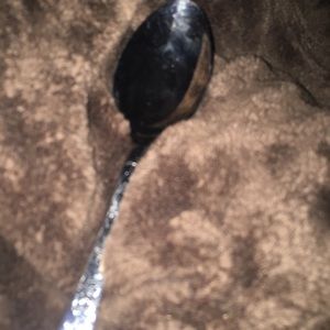 Meet your Posher, Bee